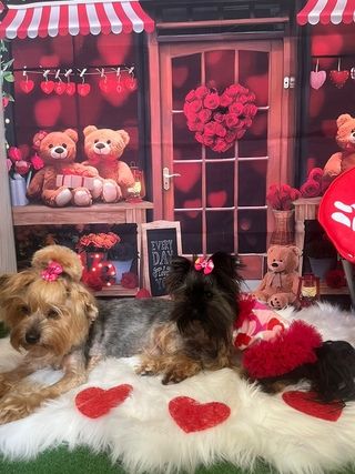 img 20250601 wa0026