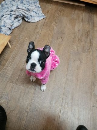 img 20250531 wa0077