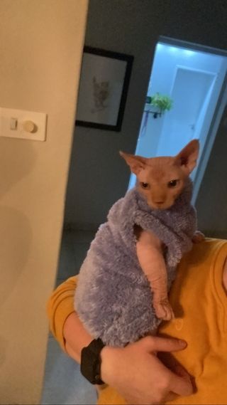 img 20250531 wa0079
