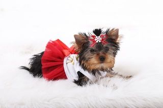 img 20250531 wa0090
