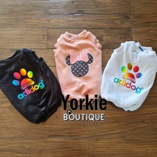 watermark20240423175141531