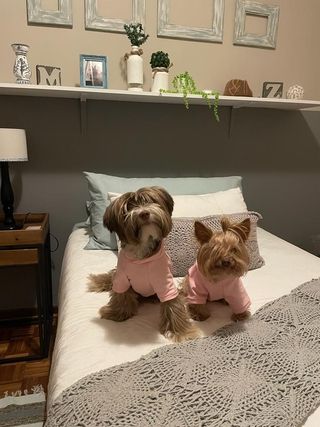 img 20250531 wa0121