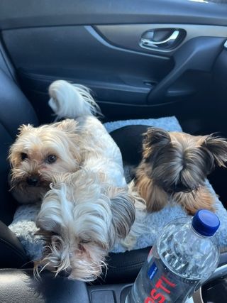 img 20250601 wa0027