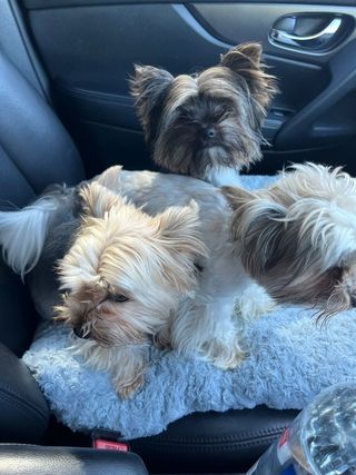 img 20250601 wa0028