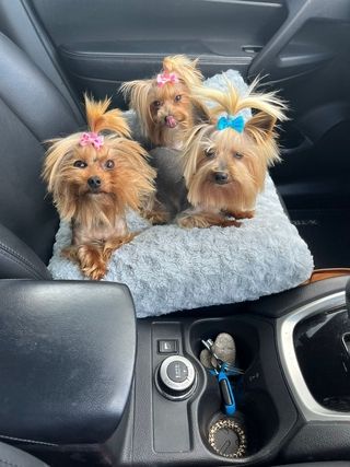 img 20250602 wa0082