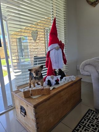 img 20250602 wa0051