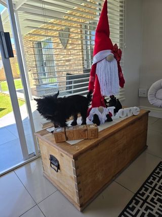 img 20250602 wa0053