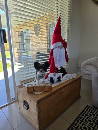 img 20250602 wa0056